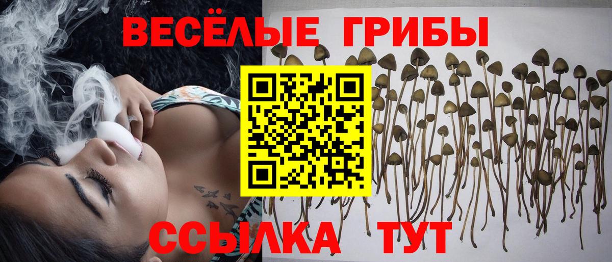 Галлюциногенные грибы MAGIC MUSHROOMS Альметьевск